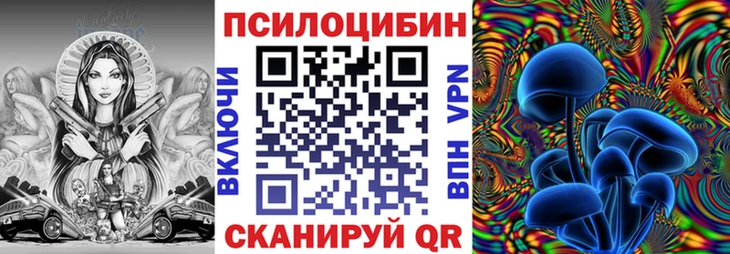 Галлюциногенные грибы GOLDEN TEACHER  где купить наркоту  Каспийск 