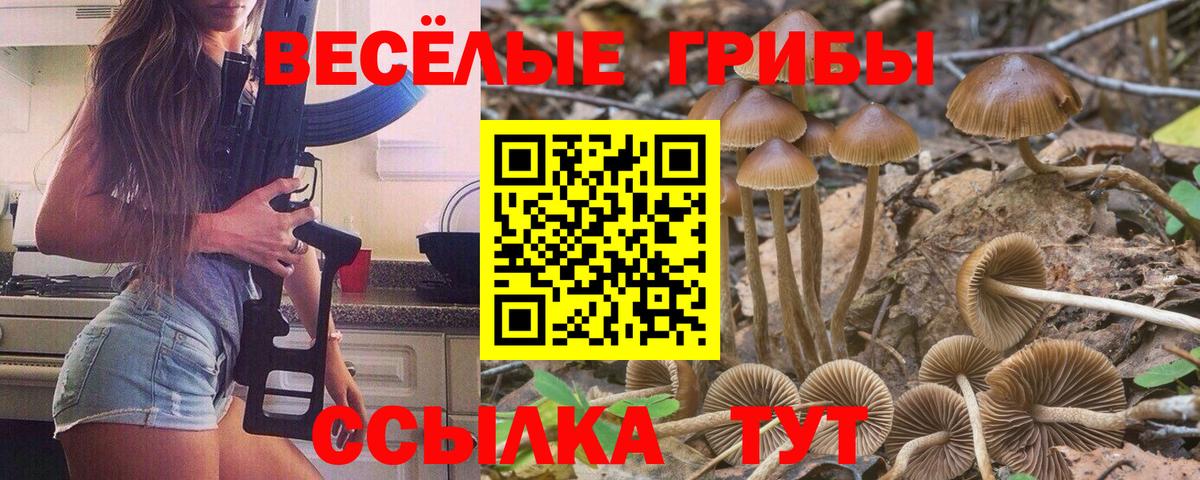 Галлюциногенные грибы Psilocybe  Вход с VPN  сколько стоит  Каспийск 